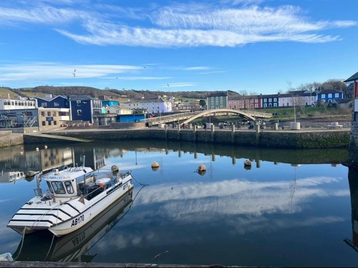 Nant Meigan, Georgian Townhouse In Centre Of Aberaeron, Dog Friendly Exteriör bild
