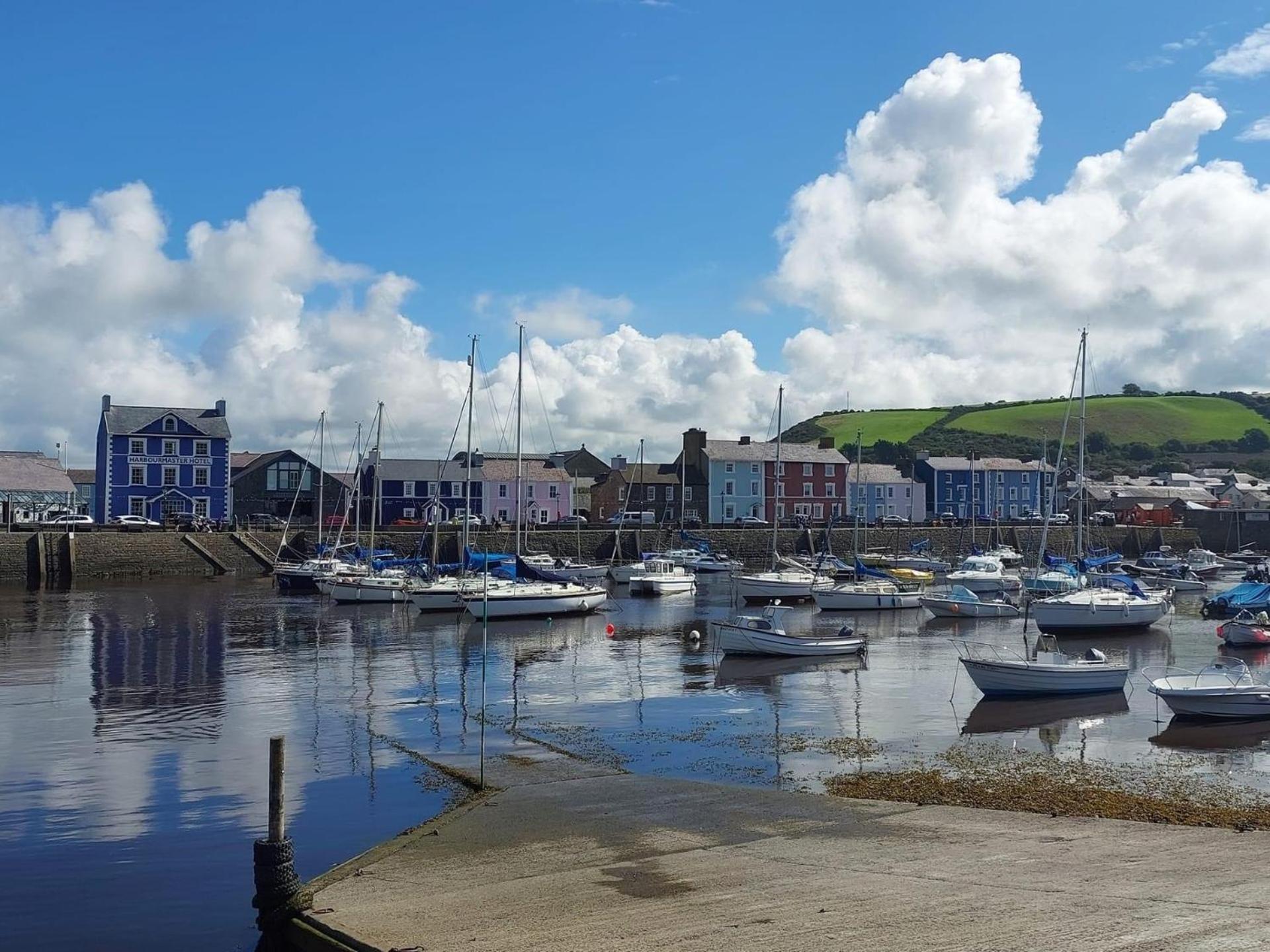 Nant Meigan, Georgian Townhouse In Centre Of Aberaeron, Dog Friendly Exteriör bild